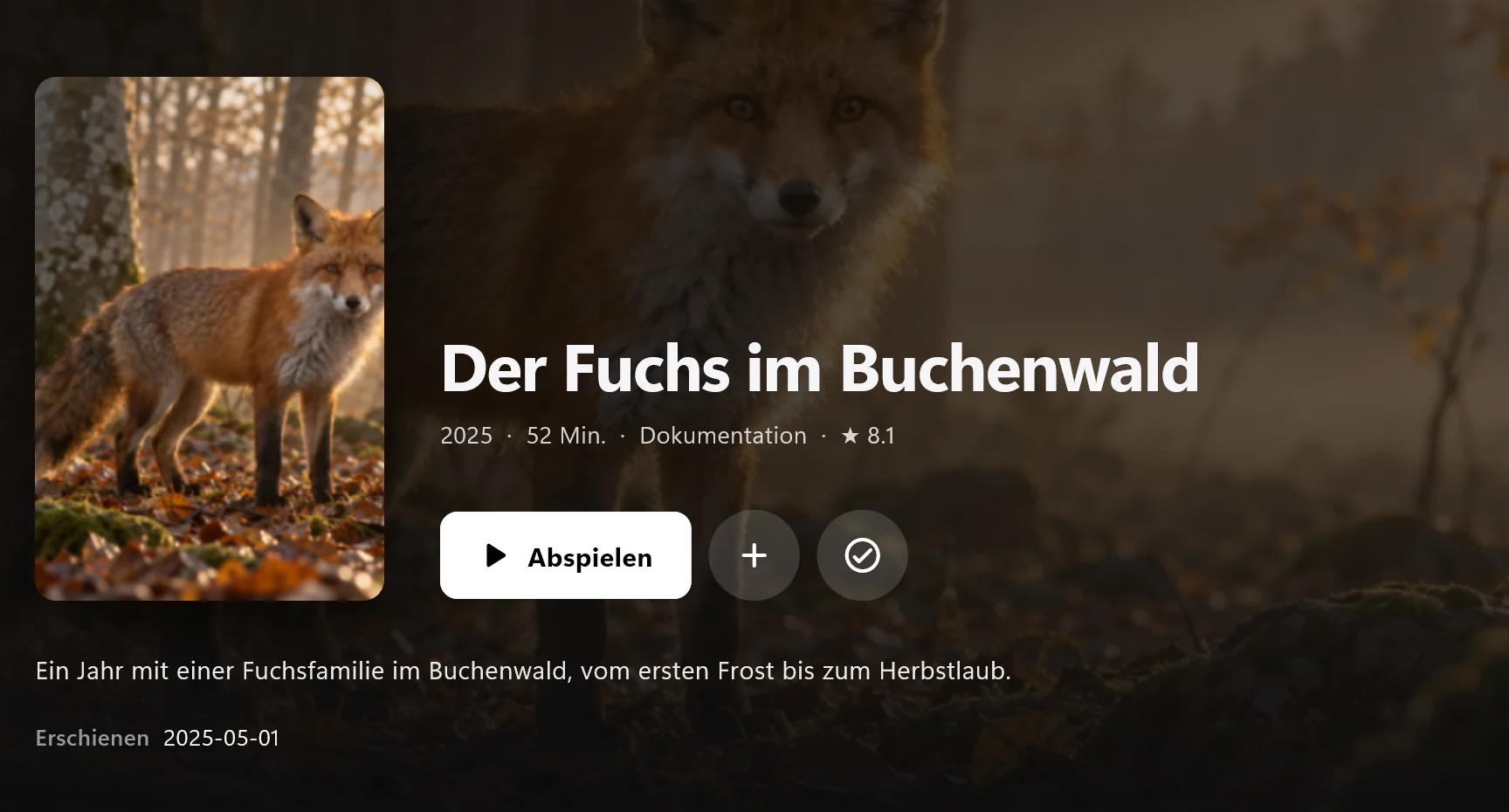 Finally unter Windows: Filmseite mit Cover, Hintergrundbild und Abspielen-Knopf