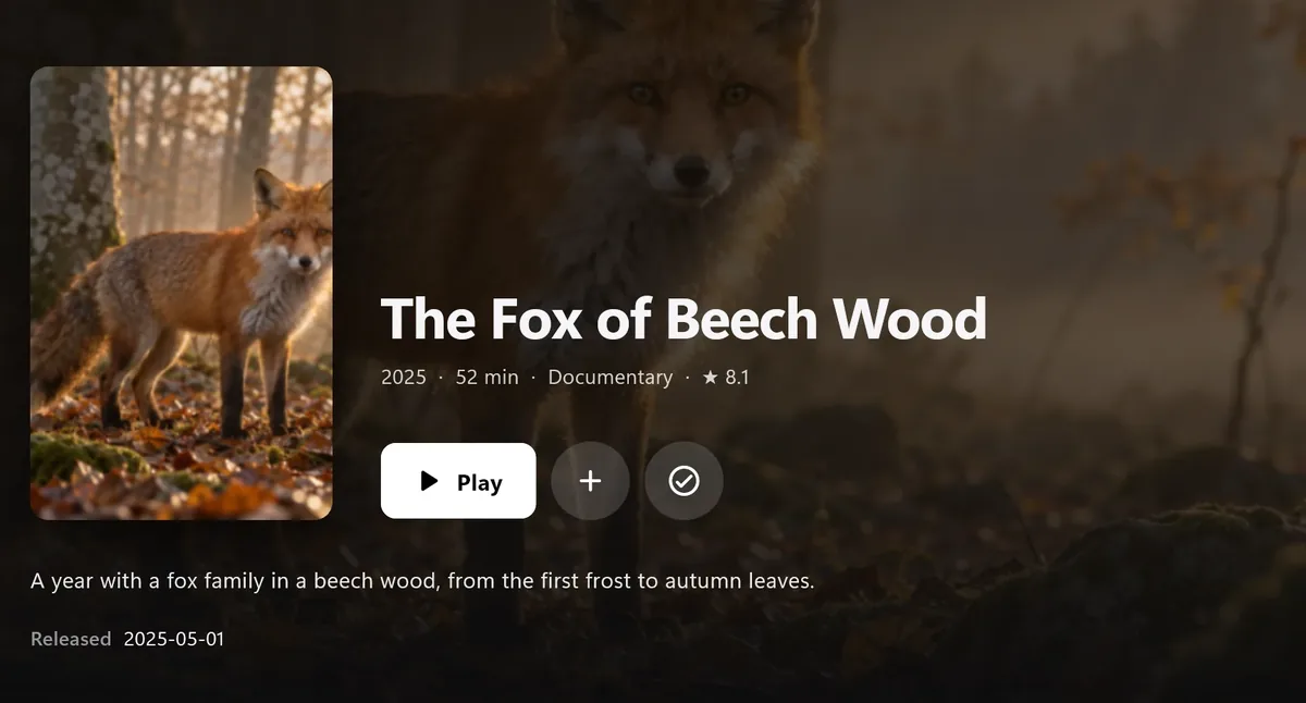 Finally en Windows: página de una película con portada y botón de reproducir