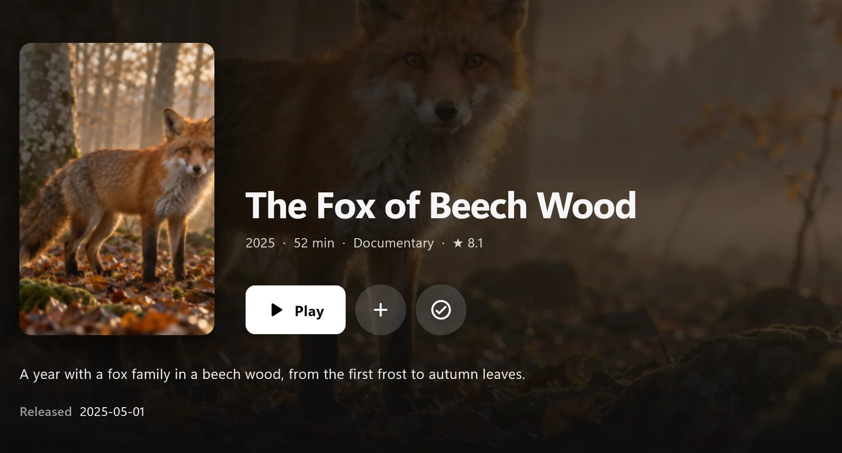 Finally on Windows: a movie page with cover, backdrop and play button